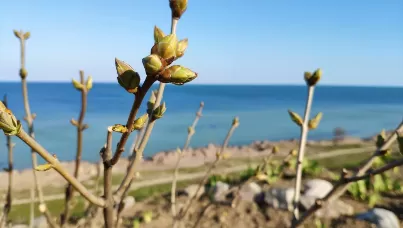 Чому Арабатська Стрілка – найкраще місце для травневих свят?
