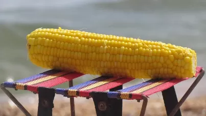 Питание во время отдыха на море