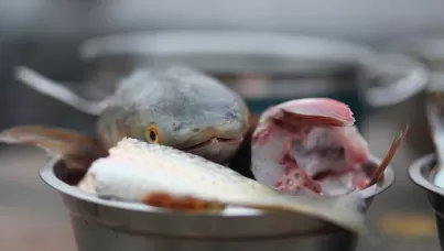 Рыбная история - исторически-гастрономическая экскурсия в Геническе