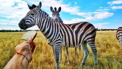 Асканія-Нова – справжня степова перлина