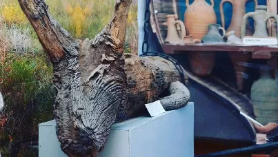 ТОП-мест для посещения в Геническе