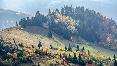 Відпочинок у Верховині: що варто знати, щоб гарно провести час