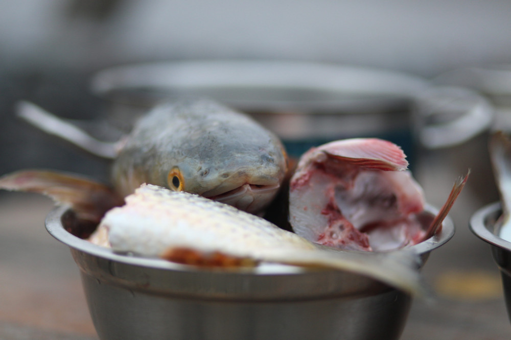 Рыбная история - исторически-гастрономическая экскурсия в Геническе