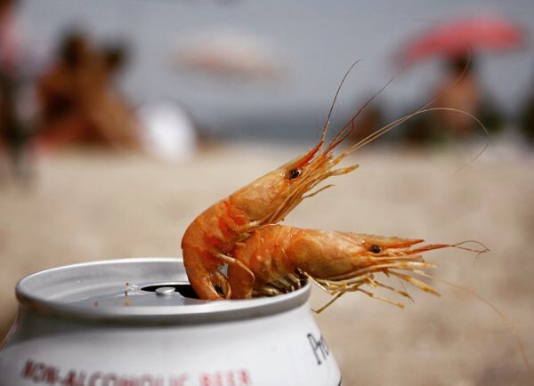 Местные морепродукты - из моря с любовью!