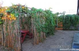 Гостевой дом 