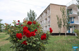 БАЗА ВІДПОЧИНКУ «ЛАЗУРНІ ДАЛІ»