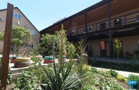 Азовський Оазіс