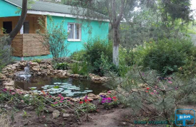 База отдыха 