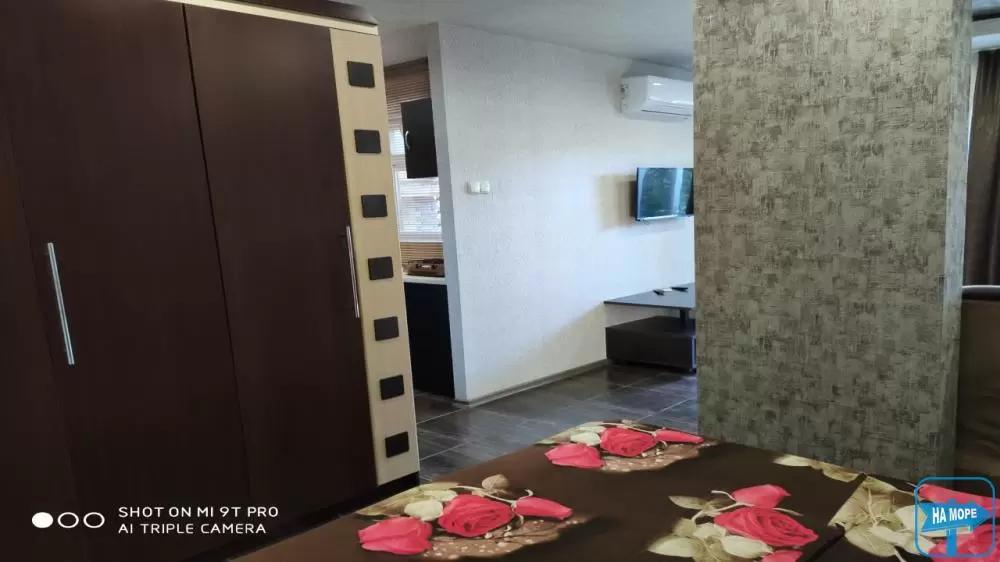 Номер-студио с перегородкой в центральном корпусе. 1 этаж