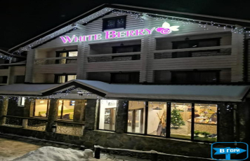 ГОТЕЛЬ WHITEBERRY