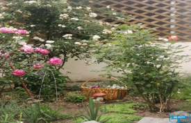 Міні-пансіонат 