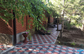 Міні-пансіонат «Сосновий Бор»